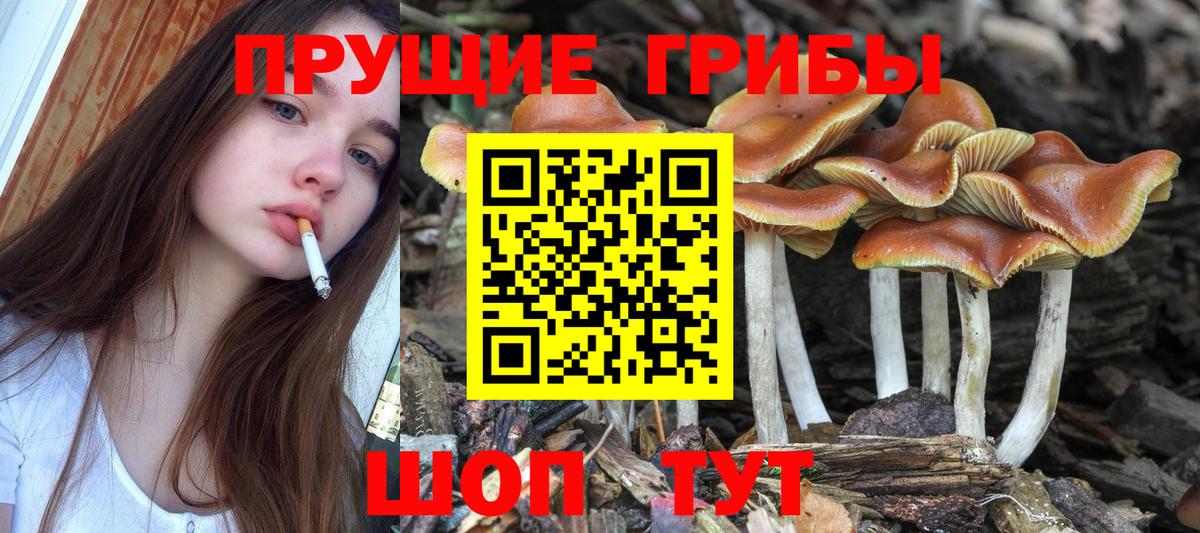 КЕТАМИН Архангельск